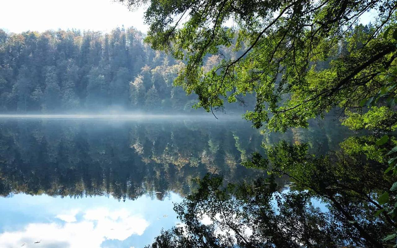 Ferienwohnung In Der Vulkaneifel "Opp Der Holl" Brockscheid Dış mekan fotoğraf