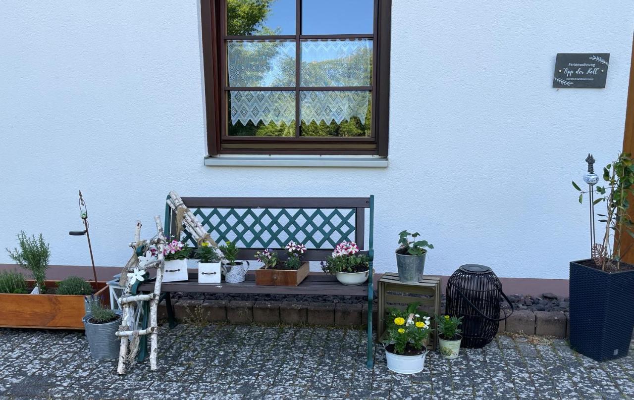 Ferienwohnung In Der Vulkaneifel "Opp Der Holl" Brockscheid Dış mekan fotoğraf