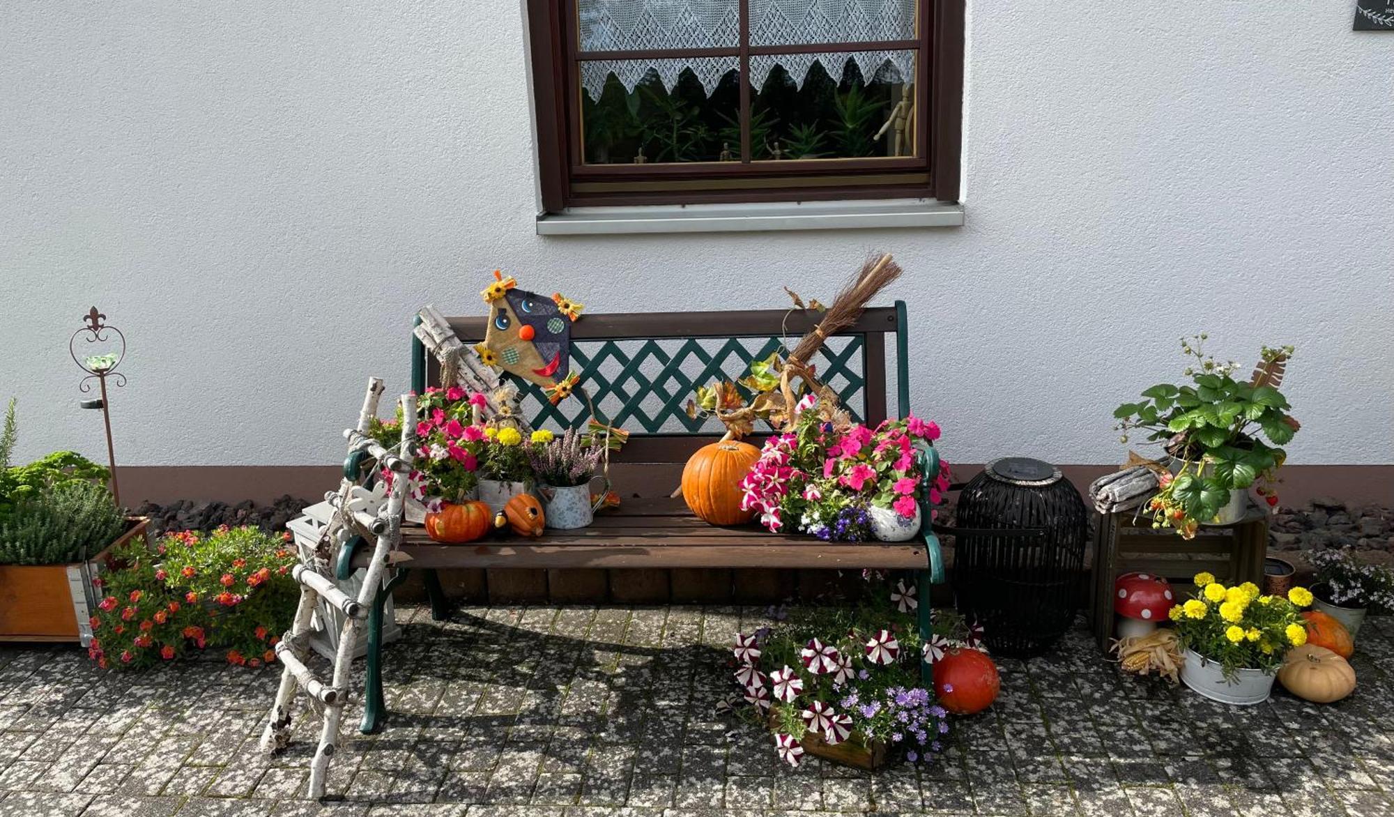 Ferienwohnung In Der Vulkaneifel "Opp Der Holl" Brockscheid Dış mekan fotoğraf