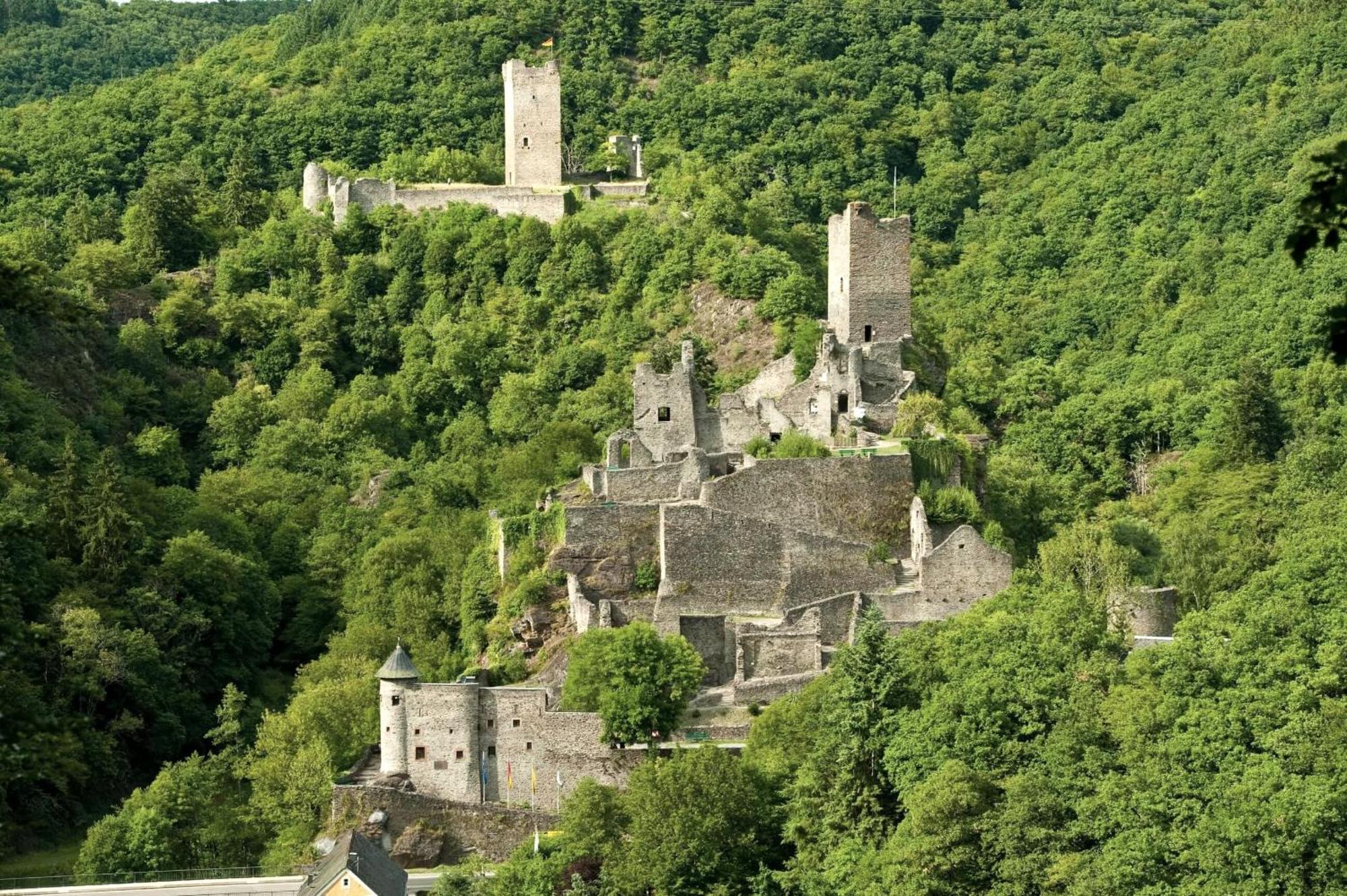 Ferienwohnung In Der Vulkaneifel "Opp Der Holl" Brockscheid Dış mekan fotoğraf