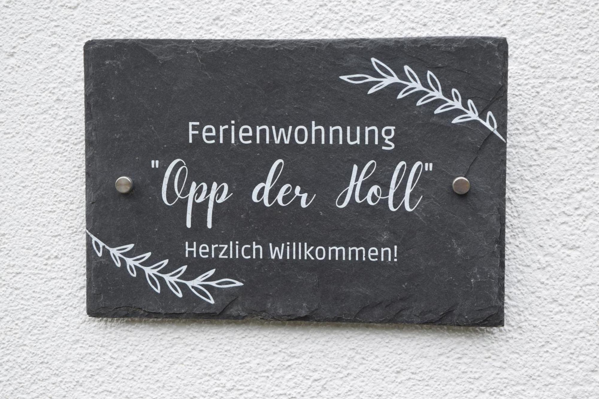 Ferienwohnung In Der Vulkaneifel "Opp Der Holl" Brockscheid Dış mekan fotoğraf